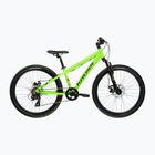 Dětské kolo KROSS Dust Jr 1.0 Dsc green/green/gloss