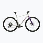 Gravelové kolo KROSS Esker 1.0 FL grey/purple/gloss
