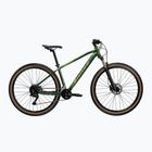 Horské kolo KROSS Hexagon X200 29" green/gloss