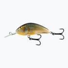 Salmo Hornet FL pravá plotice QHT079