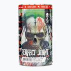 Fitness Authority Skull Labs Perfect Joints 495 g cherry