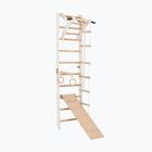Gymnastický žebřík RINAGYM SPR A+SLIDE