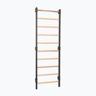 Gymnastické žebřiny RINAGYM Steel 1 graphit