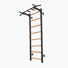 BenchK gymnastický žebřík černý BK-221B