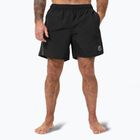 Pánské plavecké šortky Pitbull Crownhill black