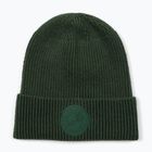 Zimní čepice Pitbull Beanie San Diego Ca dark green