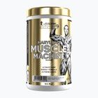 Předtréninkový doplněk Fitness Authority Levrone Gold Maryland Muscle Machine 385 g fruit punch