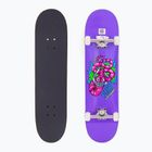 Skateboard Fish Skateboards Začátečník Huron 8.0"