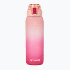 Láhev TREXO Haust 1000 ml pink