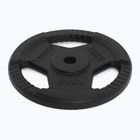 Litinový kotouč XTREXO TRX-ICP010 10 kg chrom