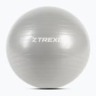 Gymnastický míč TREXO TXO-B4Z007-GY 55 cm grey 