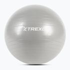 Gymnastický míč XTREXO TXO-B4Z007-GY 55 cm grey 