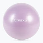 Gymnastický míč XTREXO TXO-B4Z008-VT 65 cm violet