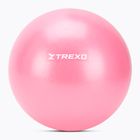 Mini gymnastický míč TREXO TXO-B4Z010-PK 20 cm pink