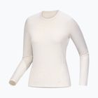 Pánské trekkingové tričko Longsleeve Arcteryx Rho Crew arctic silk