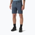 Pánské trekingové šortky Helly Hansen Holmen 5 Pocket alpine frost