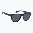 Sluneční brýle Polaroid PLD 2156/S matte brown havana/blue polarized