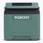 Lednice Igloo IE24 ACDC 24 and spruce