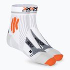 Pánské běžecké ponožky X-Socks Marathon Energy 4.0 arctic white/trick orange