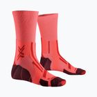 Pánské ponožky X-Socks Trailrun Perform Crew fluo red/namib red