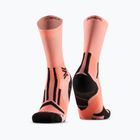 Ponožky X-Socks Trailrun Perform Crew dusty rose/x black