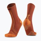 Ponožky X-Socks Trailrun Terraskin Expert Crew burnt red/orange