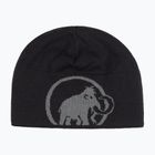 Zimní čepice Mammut Logo steel/black
