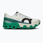 Pánské běžecké boty On Running Cloudmonster Hyper undye/mint