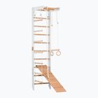Gymnastický žebřík RINAGYM SPR B+SLIDE