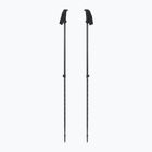 Trekingové hole Black Diamond Explorer 2 Trekking ink blue