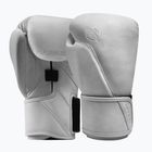 Boxerské rukavice Hayabusa T360 Leather white