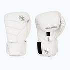 Boxerské rukavice Hayabusa T3 Kanpeki arctic white