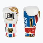 Boxerské rukavice Leone Thai Style bílé GN114