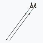 Hole na Nordic Walking Fizan Carbon Pro Impulse grey