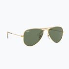 Dětské sluneční brýle Ray-Ban Aviator arista gold/dark green
