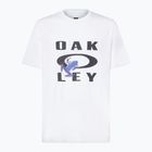 Pánské tričko Oakley O Frog Ss Tee white