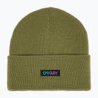 Zimní čepice Oakley B1B Gradient Patch Beanie fern