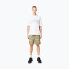 Pánské tričko Oakley Wired Mtn Scape Tee white
