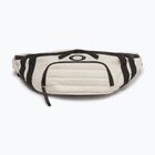 Ledvinka Oakley Enduro Belt Bag 4,5 l mist