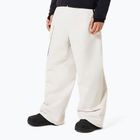 Pánské snowboardové kalhoty Oakley Channel Cargo mist