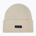 Zimní čepice Oakley B1B Gradient Patch Beanie mist
