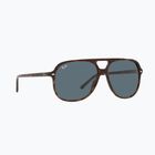 Sluneční brýle Ray-Ban Bill havana/blue
