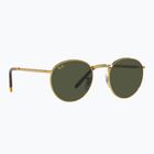 Sluneční brýle Ray-Ban New Round gold/green