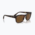 Sluneční brýle Ray-Ban RB4428 havana matte/brown polarized