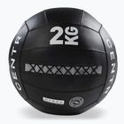 Medicinbal CENTR Wall Ball Centr x Hyrox 2 kg black