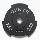 Bumperová závaží Centr Olimpijski Centr x Hyrox Interlocking Bumper Plate 2 pcs black