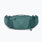 Cyklistická ledvinka Osprey Savu 5 l cascade blue
