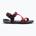 Dětské sandály Barefoot Xero Shoes Z-Trail charcoal/red pepper
