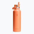 Termo láhev Hydro Flask Standard Flex Straw 620 ml nektar