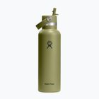 Termo láhev Hydro Flask Standard Flex 621 ml palmer green